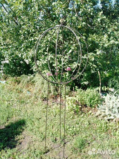 Растения для сада