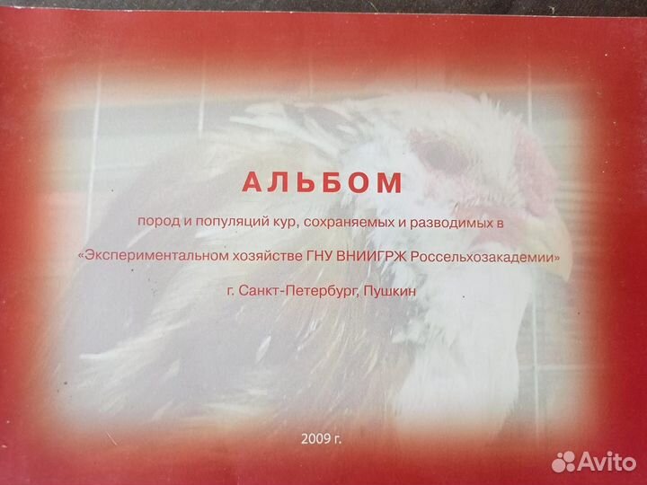 Инкубационное яйцо породистых кур