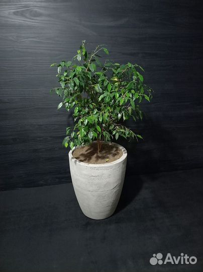 Вазоны, Горшки, Кашпо под заказ из бетона арт 140