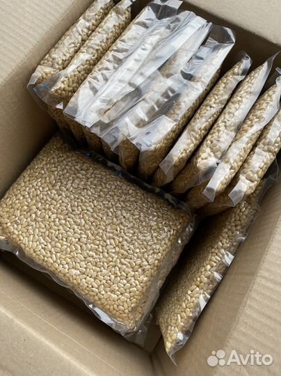 Орех кедровый