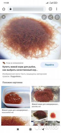 Корм для рыбок