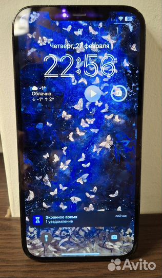 iPhone 12 Pro Max, 256 ГБ