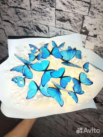 Букет из бабочек. Бабочки в коробках