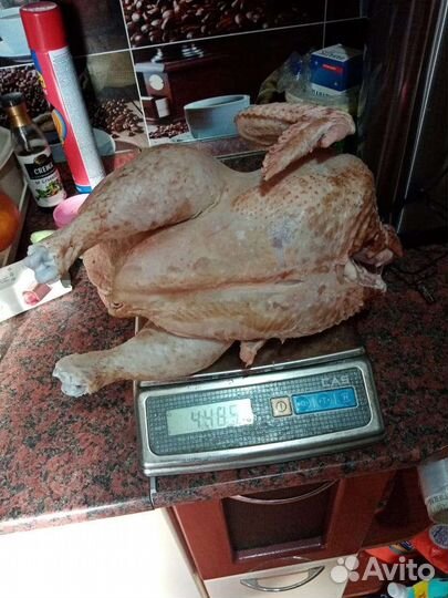 Домашнее свое