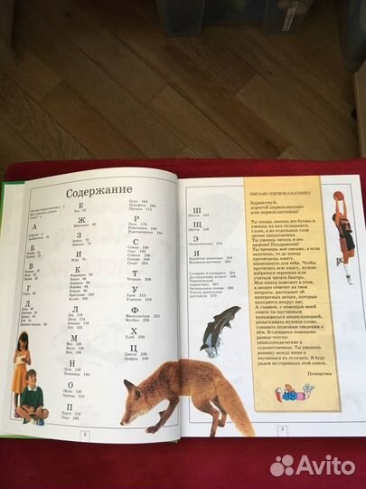 Обучающая энциклопедия Почемучка