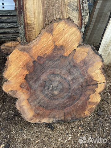 Слэб ясеня круглый большой