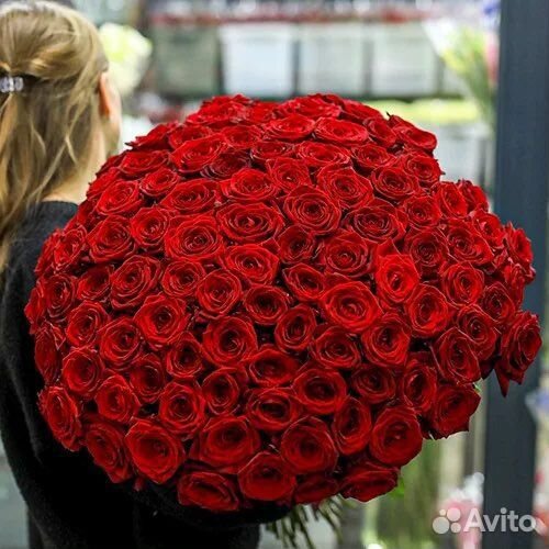 Роза Красная 101шт С Доставкой