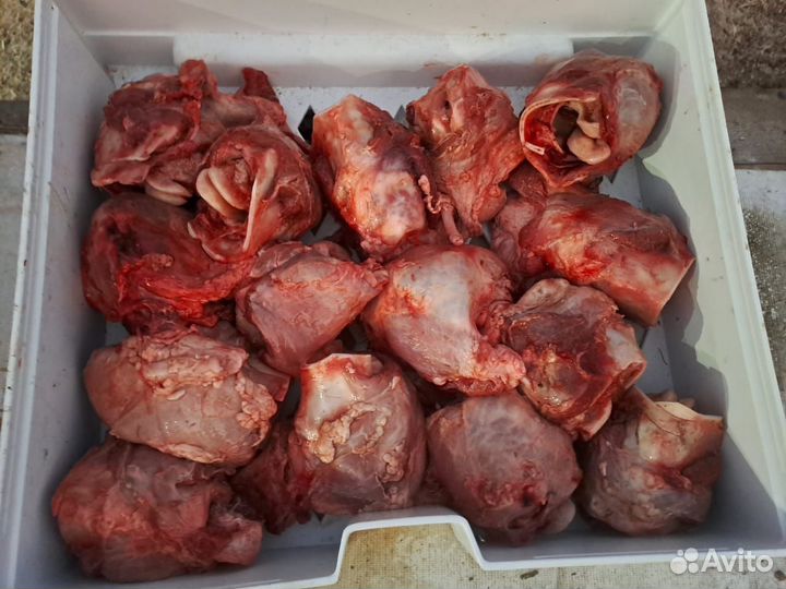 Лакомства для животных