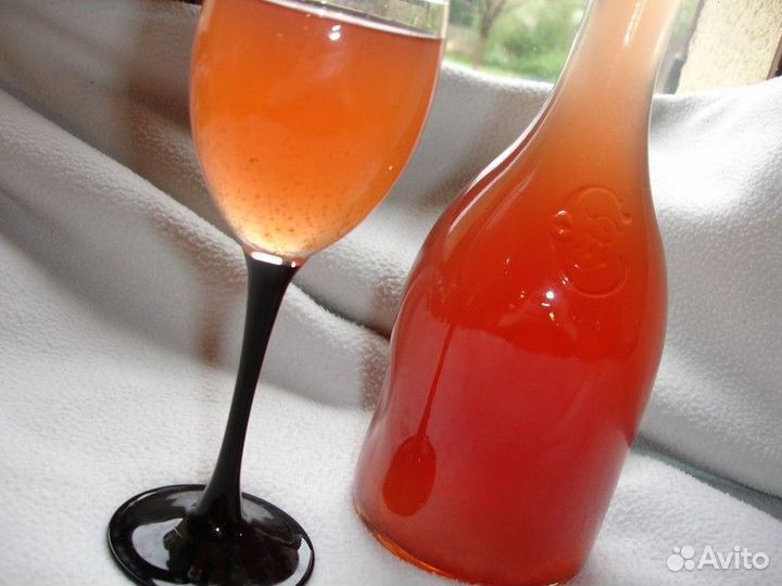 Винный гриб