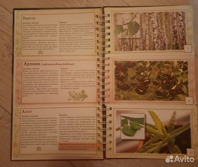 Энциклопедия лекарственных растений. Соловьева В