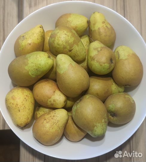 Груша с огорода свежая