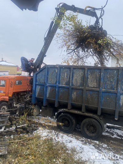 Спил деревьев