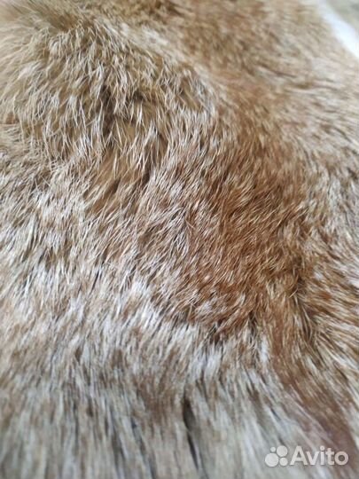 Шкура лисы