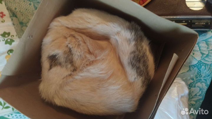 Шапка натуральный мех СССР женская