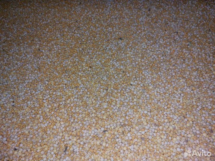 Половинки гороха