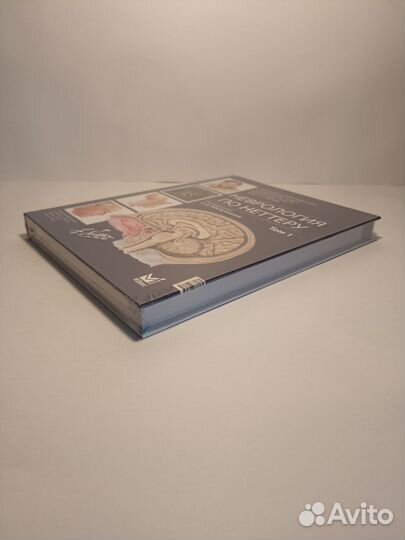 Неврология по Неттеру