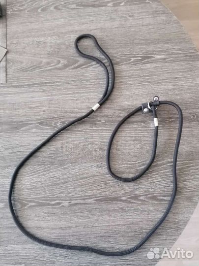 Ринговка для мелких и средних собак