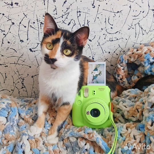 Фотоаппарат в аренду instax mini 9