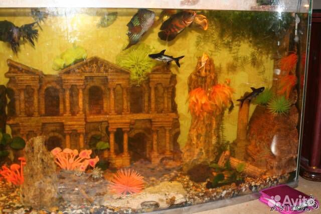 Аквариум панорамный