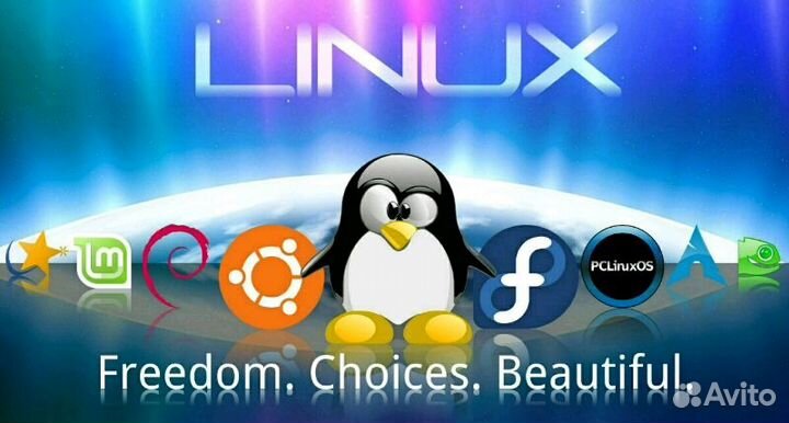 Системный администратор (linux, windows) Сборка пк