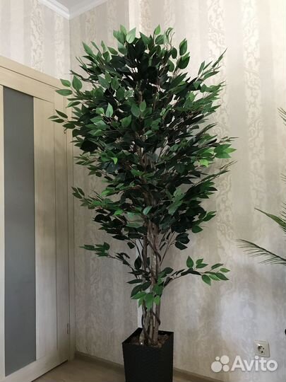 Искусственные деревья Фикус Пальма Бамбук