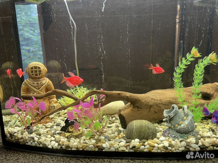 Аквариум