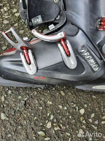 Горнолыжные ботинки