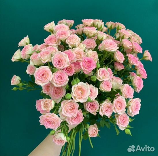 Цветочные истории