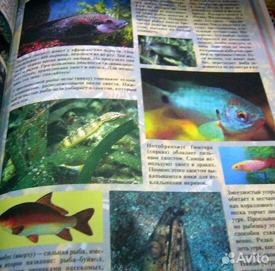 Большая детская энциклопедия. Чудеса. Яковлев Лев