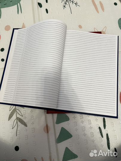 Амбарная книга (книга учета)