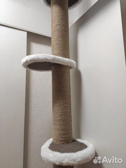 Когтеточка от пола до потолка