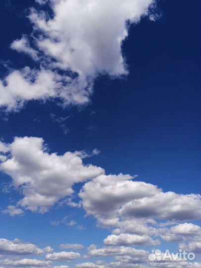 Психолог консультация