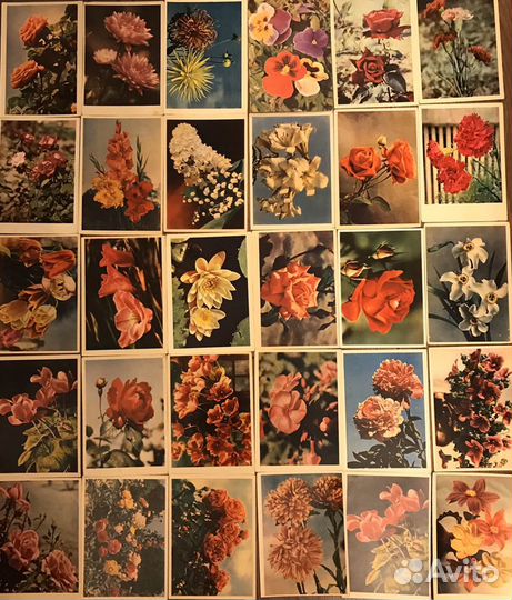 Открытки коллекционные 50-80х
