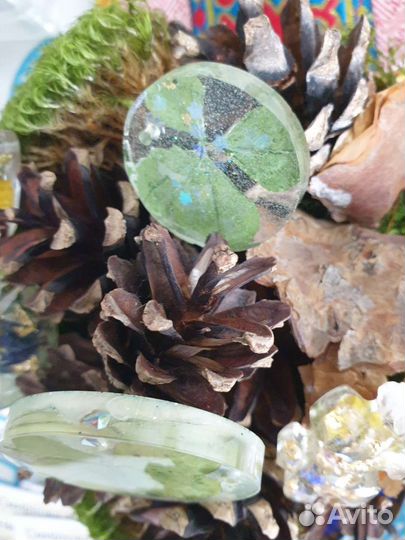 Клевер четырехлистный