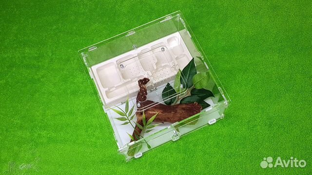 Муравьиная ферма (формикарий) для муравьев