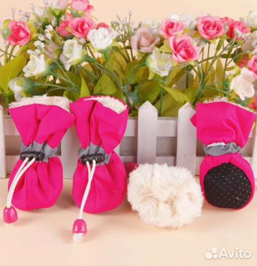 Сапоги для собак