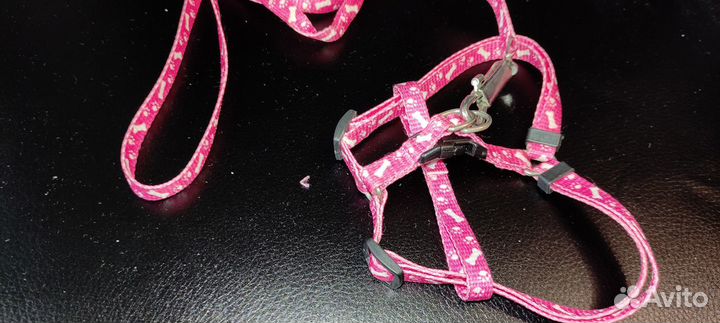 Поводок для кошки или маленькой собаки разные