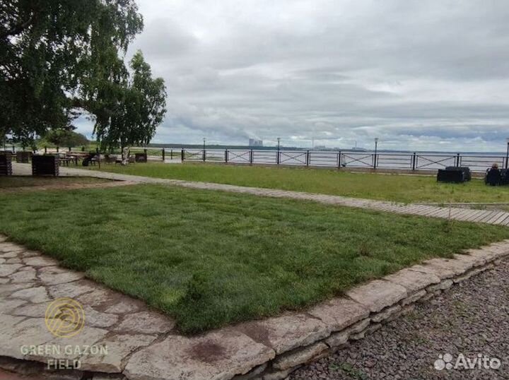 Газон универсал оптом