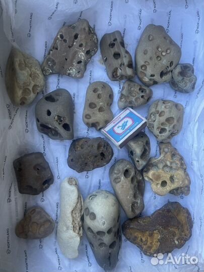 Морские камни для аквариума, террариума, бонсай