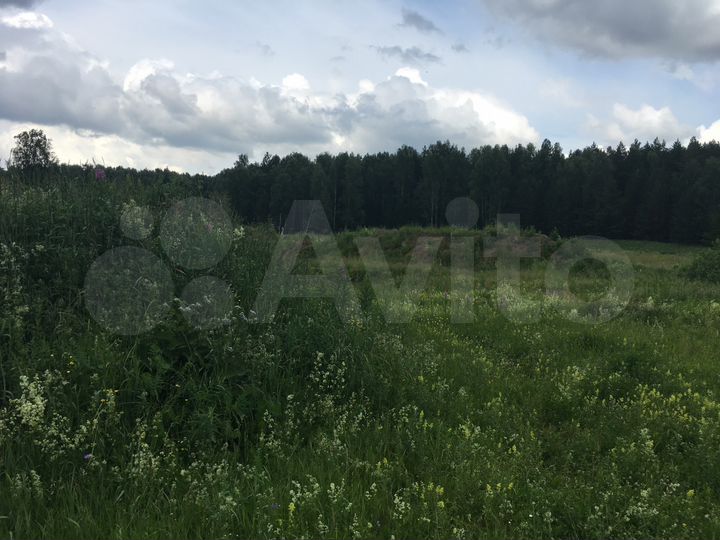 Участок 6 га (СНТ, ДНП)