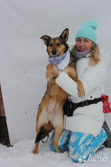 Ася-молодая и симпатичная девочка ищет дом