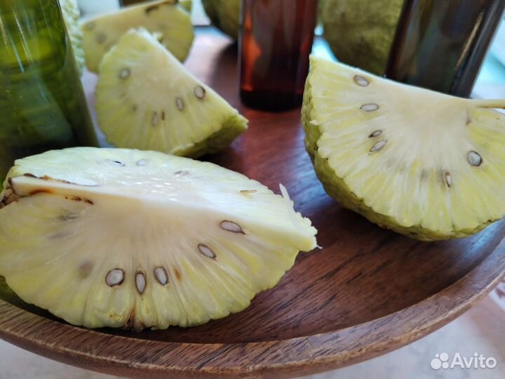 Мазь Маклюра для идеальной кожи