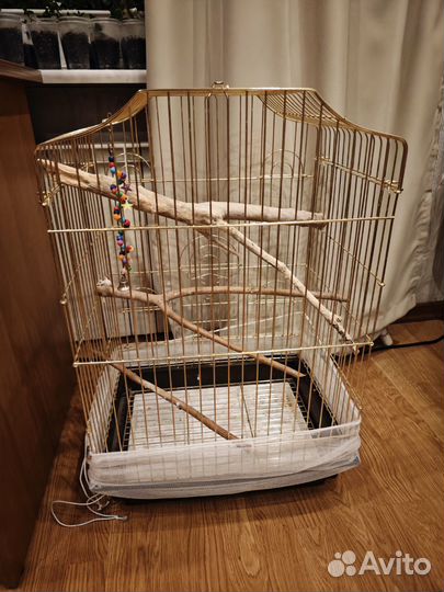 Больша золотая клетка