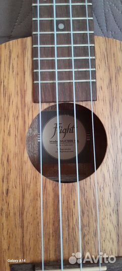 Укулеле flight концерт