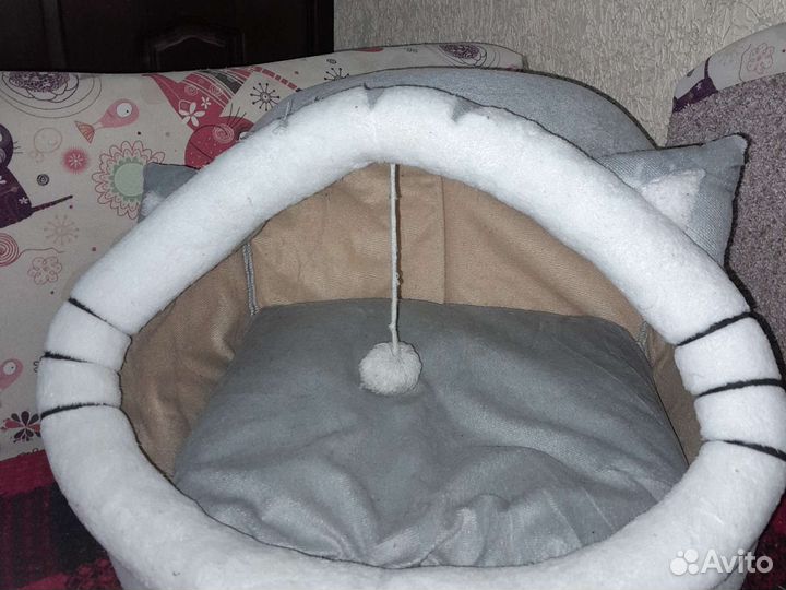 Вислоухий кот