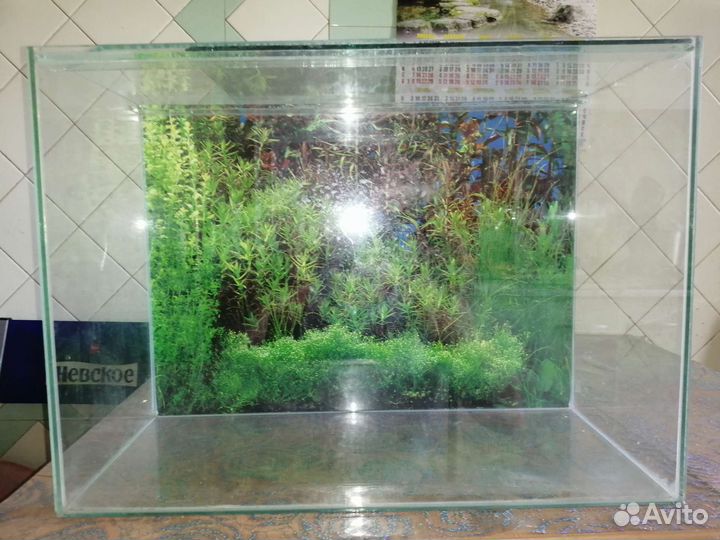Аквариум