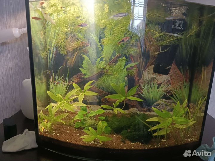Аквариум 60л