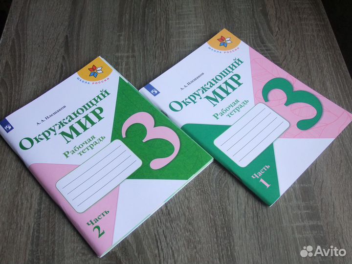 Плешаков Окружающий мир 3 класс Рабочая тетрадь