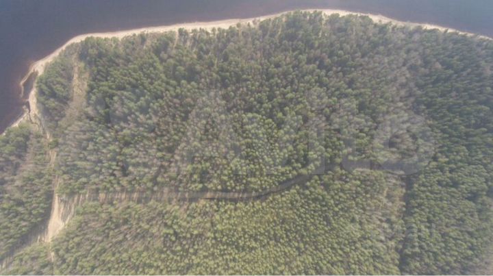 Участок 50 сот. (ИЖС)