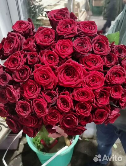 101 роза с доставкой, букет роз с доставкой